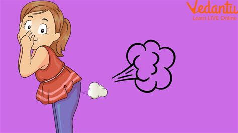 Why Do We Fart? Meaning and Facts About Farting