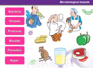 Microbiological Hazards – Food Safety Training