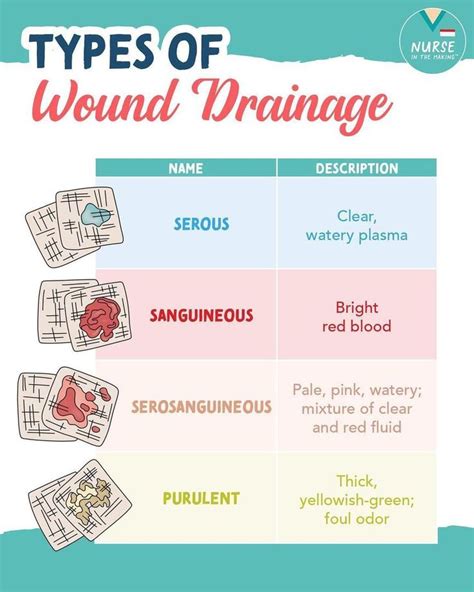 Types of Wound Drainage | Nursing school notes, Nursing school tips ...