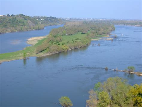 The Big Wobble : 60 tons of fish are dead in the Loire river after bad weather hits France