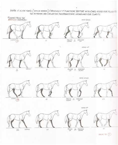 Quadruped Walk Cycle Tutorial Animation Tutorial