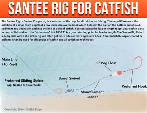 Santee Cooper Rig For Catfish: A Catfishing Essential