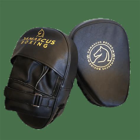 Pro Focus Mitts - Damascus Sport