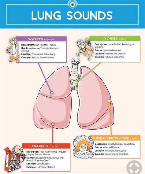 The Millennial Nurse, LLC on Instagram: “Lung Sounds!” | Nursing school survival, Medical ...