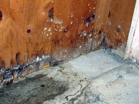 Boca Raton - Water Damage | Mold Damage | Mold Restoration