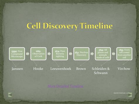 PPT - Cell Theory PowerPoint Presentation, free download - ID:1417917