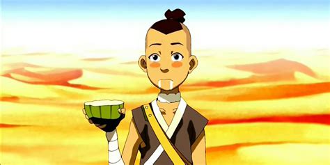 Avatar Last Airbender Sokka Cactus Juice : Round neck 2020 new the last ...