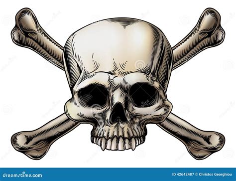 Skull And Crossbones Drawing Stock Vector - Image: 42642487