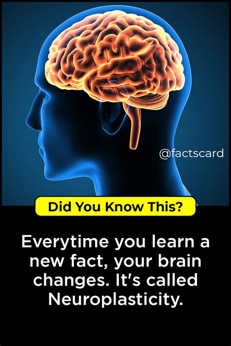 Did You Know 31 Intresting Facts Wow Facts Did You Know Facts | Images ...