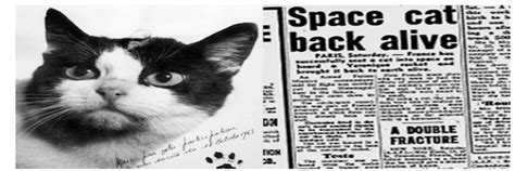 Felicette Space Cat Gets Statue - Online Star Register