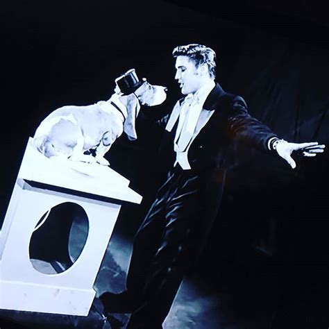 "Ed Sullivan's Elvis Presley singing hound dog to a hound dog #hounddog #dog#sweet #elvis # ...