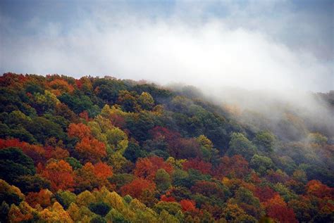 Alabama State Parks | | | Alabama State Guide