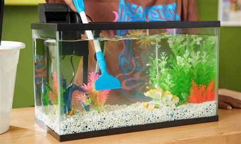 How to Clean a Fish Tank: Freshwater Tank Instructions | BeChewy