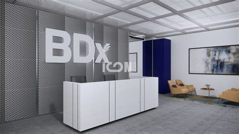 BDX | Icon Design