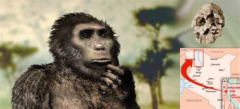 Hominin Origins - Home