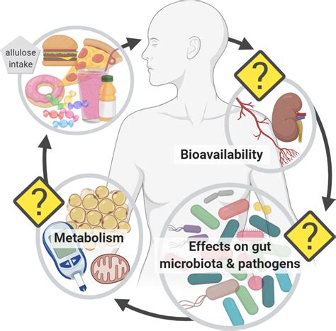 Allulose in human diet: the knowns and the unknowns | British Journal of Nutrition | Cambridge Core