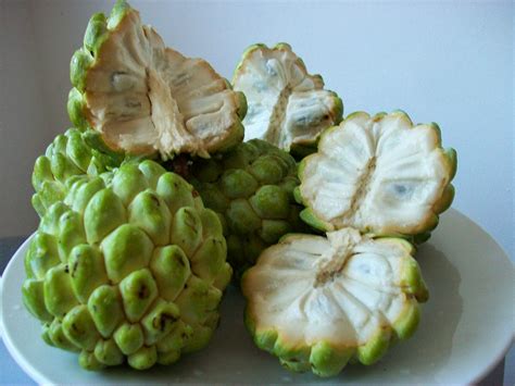 El Anón (Annona squamosa)