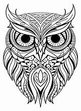 Premium Vector  Owl Or Eagle coloring Page Sketch Mandala Art sketch template