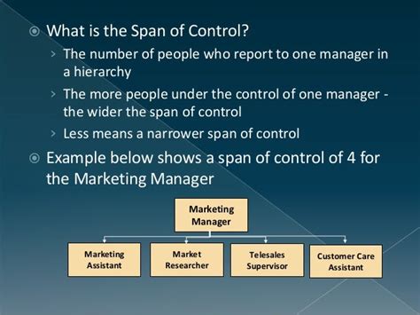 Span of Control (Management)