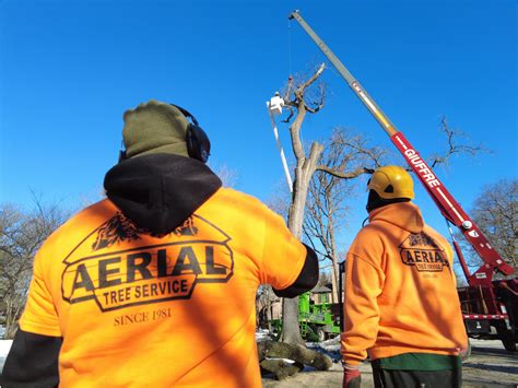 Aerial Tree Service - Free Appt & Quote W/ Cleanup