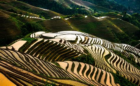 Best Time to See Longsheng (Longji) Rice Terraces in China 2018