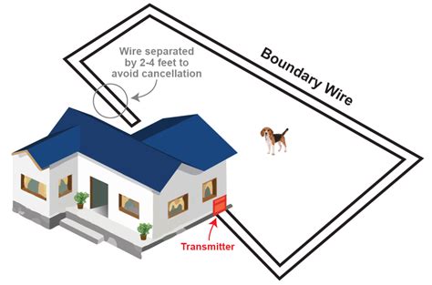 Electric Dog Fence Installation - Extreme Electric Dog Fence 2023 DIY - Kits