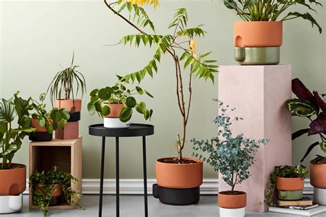 Best Plant Pots For Indoor Plants | London Evening Standard