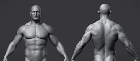 3d body visualizer male - openhon