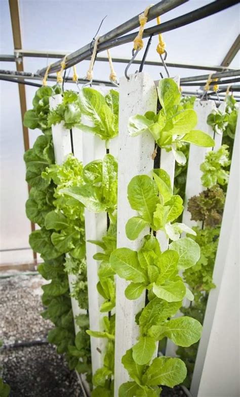 Vertical Farming In India, How To Start, Crops | Agri Farming