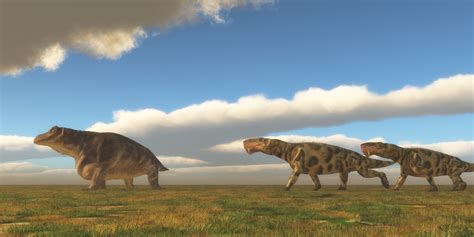 The Late Permian Mass Extinction Explained | Discover Magazine