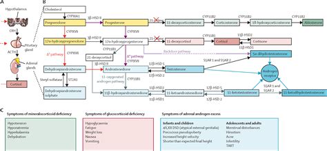 Congenital adrenal hyperplasia - The Lancet