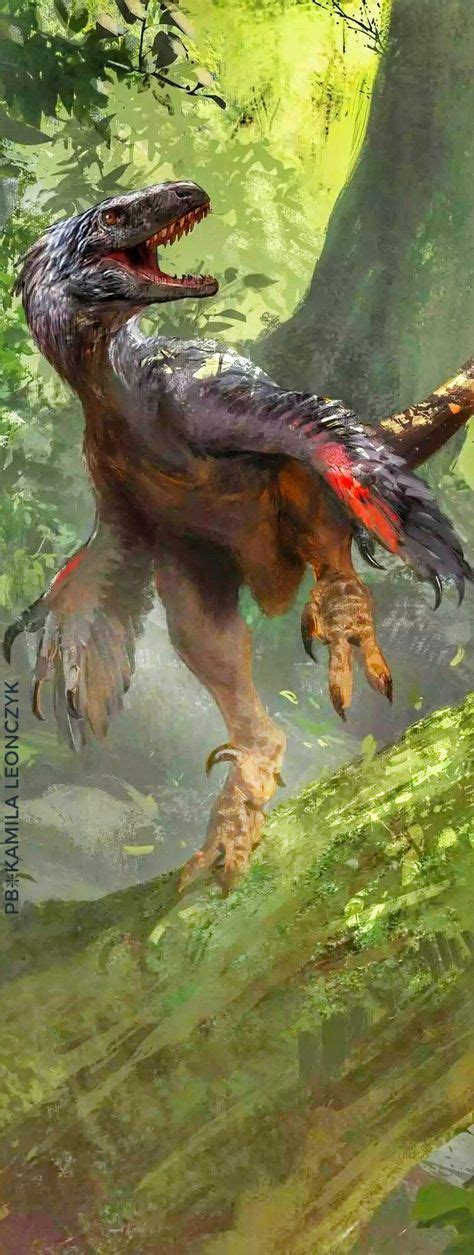 Atrociraptor (meaning "savage robber") is a genus of dromaeosaurid theropod dinosaur from the ...