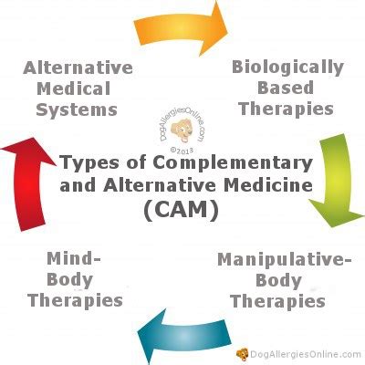 Types of Complementary and Alternative Medicine (CAM)