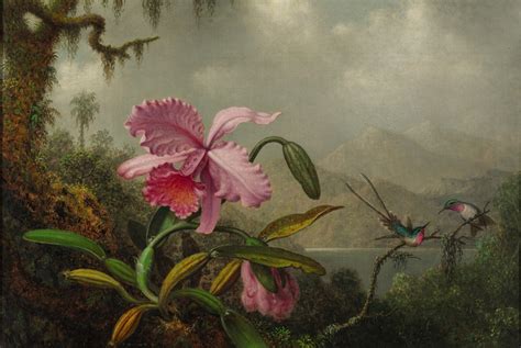 Orchids and Hummingbirds - Martin Johnson Heade - WikiArt.org - encyclopedia of visual arts