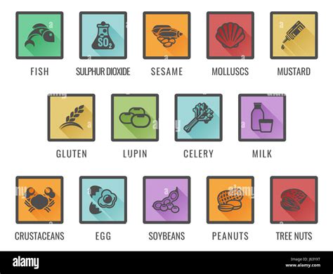 Food allergy icons including the 14 allergies outlined by the EU Food Information for Consumers ...