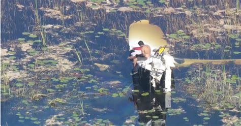 Florida Everglades plane crash: Pilot spends 9 hours in swamp when aircraft goes down in SW ...