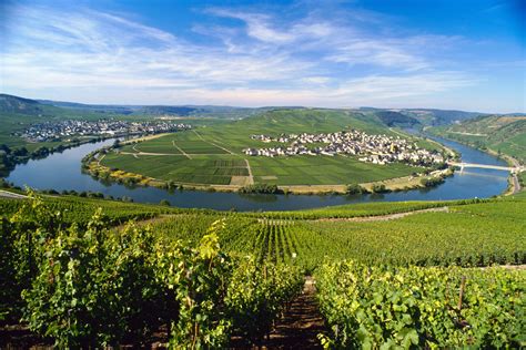 Moselle, Germany | Germany, Wine region, Trip