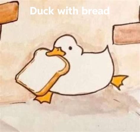 Duck with bread - 9GAG