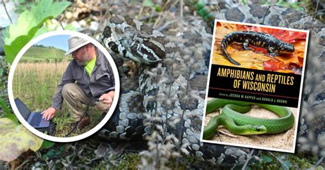 Wetland Coffee Break: Amphibians and reptiles of Wisconsin | Wisconsin Wetlands Association