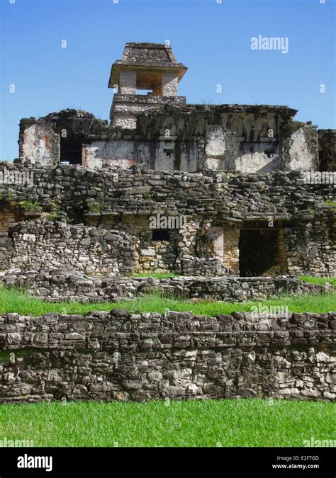 mayan temple ruins at Palenque in Mexico Stock Photo - Alamy