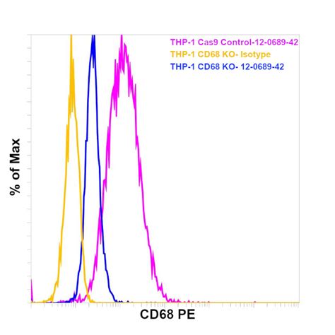 CD68 Monoclonal Antibody (eBioY1/82A (Y1/82A)), PE (12-0689-42)