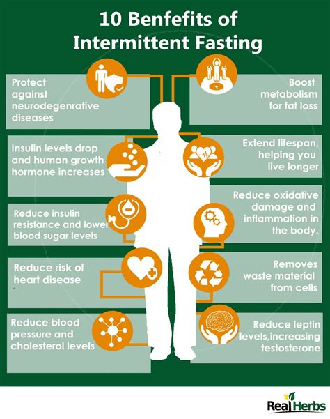 Low Carb High Fat Apprentice: Intermittent Fasting: Day 1 through 3