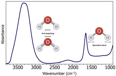 Analyzing Biofluids with ATR-FTIR Spectroscopy