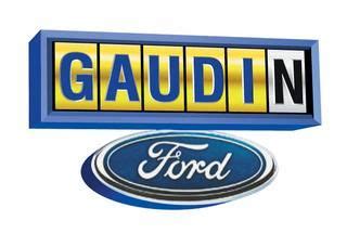 FIRST GAUDIN FORD LOGO IN LAS VEGAS | Ford logo, + logo, Ford