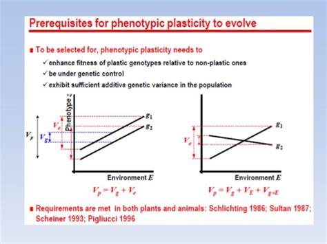 04 phenotypic plasticity