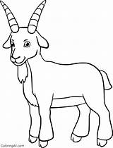 Free Printable Goat Coloring Pages sketch template