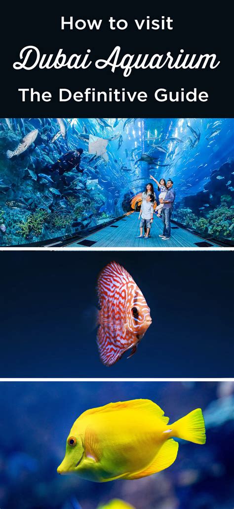 Dubai Aquarium and Underwater Zoo | Guide + Tips | 2025