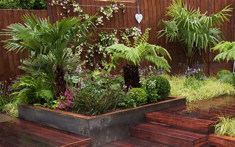 The 10 best plants to get a tropical garden style in Britain