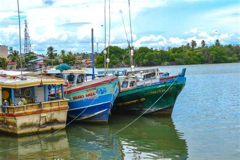 Negombo Lagoon | Things To Do, Wildlife, Shopping @Holidify