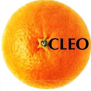 Cleo (album) | Kpop Wiki | Fandom